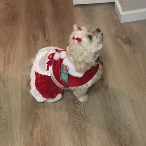 Meet your Posher, Yolanda